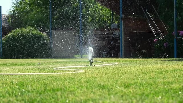 Sprinkler is watering the grass in a yard