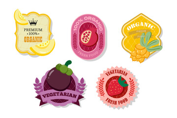Retro fruits banner and labels. Different juices stickers. Packaging tags with melon,strawberry, mangostin,pomegranate.Set of seasonal fruits labels stickers and marks or badges template for packaging