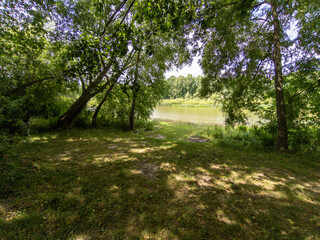 A grassy area next to a body of water surrounded by trees