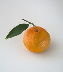 Mandarin fruit with leaves, on light background, the mandarin orange, Citrus reticulata