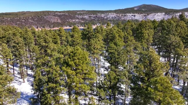 Aerial view of stoneman lake and forests in winter, United States.