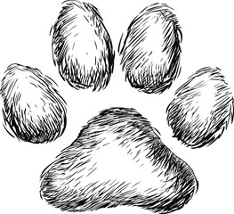 Black and white sketch of a furry paw print with detailed texture