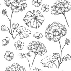 Geranium, seamless pattern, hydrangea, flowers in engraving style, set of vector illustrations, hand drawn sketch