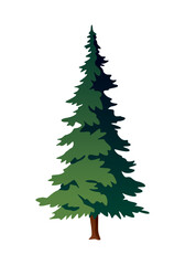 A cartoon illustration of a pine tree on a white background