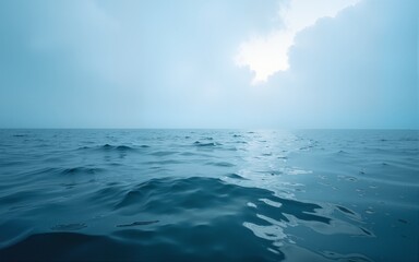 Fototapeta premium sea. High quality