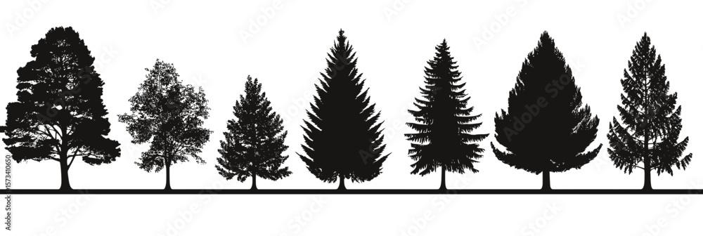 Poster silhouettes of diverse conifer and broadleaf trees in black and white minimalist vector forest row i