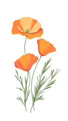 Minimalist California poppy flower vector illustration with orange petals and green leaves on white background for botanical design and floral artwork