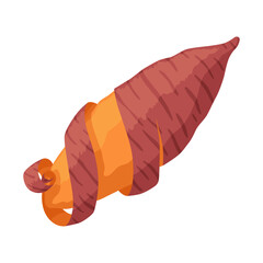 Sweet potato batata. Vegatable ingidient for healthy food. Organic vegetable root, healthy vegan or nutrition carbohydrate. Vector illustration in cartoon flat style. Isolated on white background