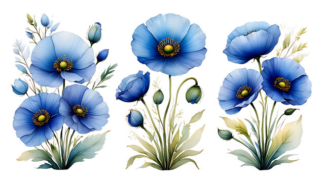 Elegant Watercolor Blue Poppies Floral Arrangement: Serene, Romantic Botanical Illustration