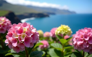 Colorful flowers and beautiful northern coast of Madeira Island, Portugal. Typical Hydrangea, Hortensia flowers. Amazing coastal landscape by Atlantic ocean. Selective focus, blurred background.