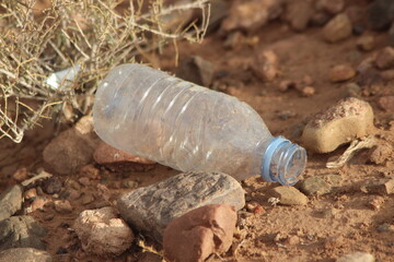 Plastic bottle lying on the ground