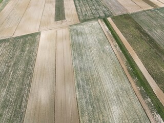 Uprawa roli pod siew zb&oacute;ż, siew rzepaku, prace polowe na wsi