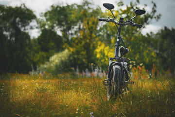 The bicycle is standing in the clearing