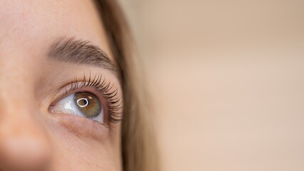 Close-up of a woman's eye after eyelash lamination procedure. 
