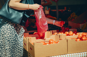A woman at the market chooses tomatoes