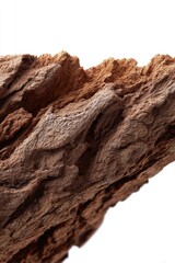 Obraz premium A section of tree bark with visible texture, isolated on a pure white background. Nature, organic, texture.