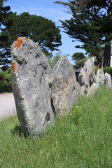 old standing stones of Kerbourgnec in Saint Pierre Quiberon 