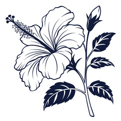 black and white hibiscus