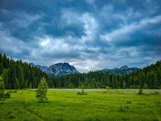 Montenegro landscape with Durmitor mountain
