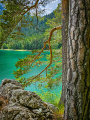 Montenegro landscape with Durmitor mountain and Black Lake