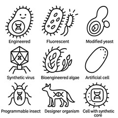 Synthetic Organism Icons. Outline style icons of Synthetic Organisms: engineered microbe, fluorescent bacteria, modified yeast