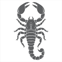 Fototapeta premium Detailed Gray Scorpion Illustration with Pincers and Segmented Body Design, a Striking and Intricate Representation of This Arachnid Species
