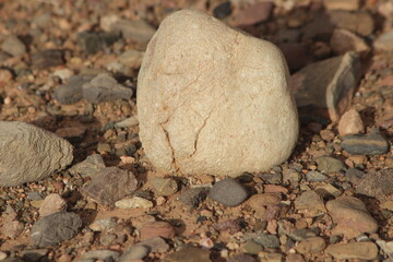 Close up of a white stone on the ground