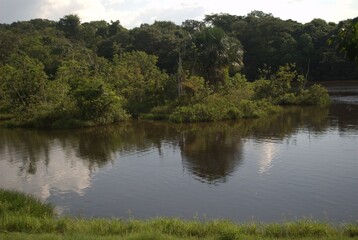 Rivers in Venezuela, Orinoco and Caroni.
Two enormous rivers that have a huge flow of fresh water...