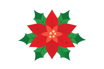 Poinsettia Centerpiece With Surrounding Foliage