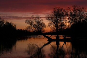 Beautiful purple and pink sunset over lake or pond with trees hovering above water surface. Public...