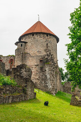 Cesis Medieval castle, the most iconic and best preserved medieval castles in Latvia, vertical