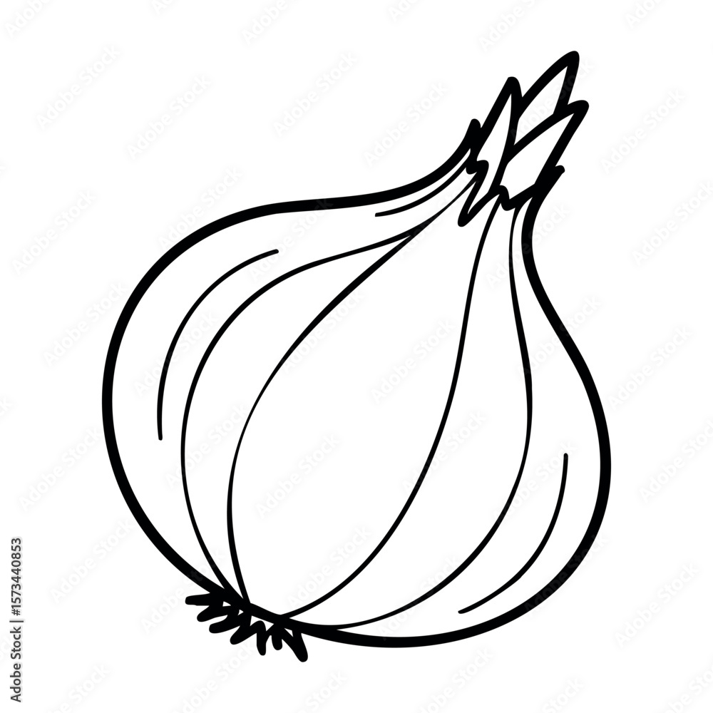 Poster simple line drawing of an onion with curved lines and a sketched style. vector hand-drawn doodle ill