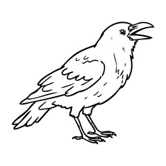 Fototapeta premium Detailed outline of a crow with open beak in profile view. Vector hand-drawn doodle illustration