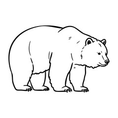 Fototapeta premium Outline illustration of a bear standing sideways. Vector hand-drawn doodle illustration