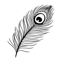 Obraz premium Detailed peacock feather illustration with intricate design. Vector hand-drawn doodle illustration