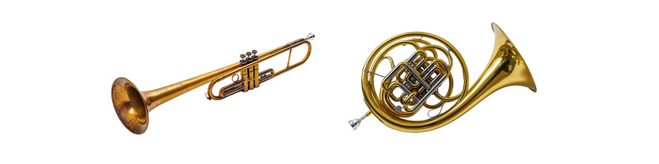 Trumpet and French horn side by side, both brass instruments with realistic metallic texture – transparent background.