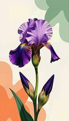 Elegant purple Iris flower illustration with green and orange artistic shapes in a neutral background.