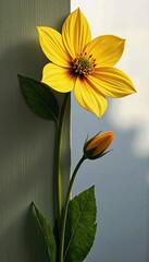Elegant yellow flower with a bud and green leaves presents a sunny, botanical composition against a dual-toned background.