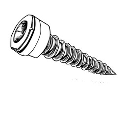Screw Illustration: A detailed line art drawing of a screw, showcasing its helical threads and hexagonal head in a monochrome style.