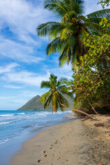 Tropical Beach with Palm Swing and Mountain View at Diamond Beach, Martinique, French Caribbean