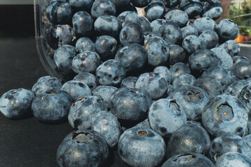 Clusters of freshly collected blueberries rest on a dark surface highlighting their vibrant hues...