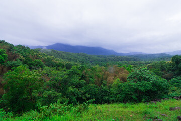 beautiful landscape scenery with green forest mountain in kerala western ghats
