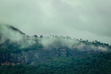 beautiful landscape scenery with green forest mountain in kerala western ghats