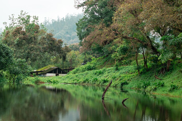 beautiful landscape scenery with lake and green forest