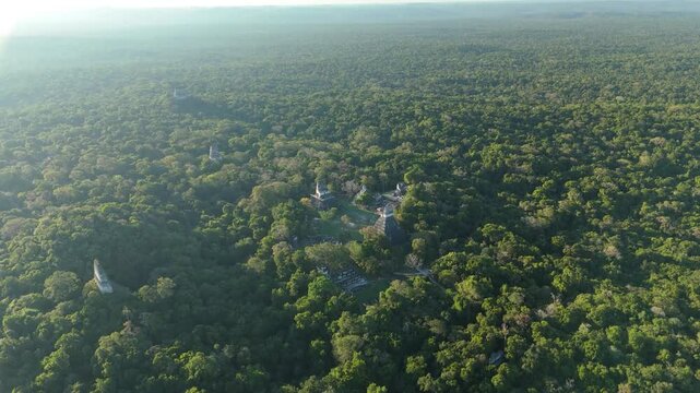 Aerial view of Tikal ancient Maya ruins surrounded by tropical rainforest in Guatemala