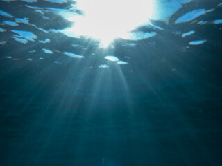 Dark blue ocean surface seen from underwater. Abstract waves underwater and rays of sunlight...