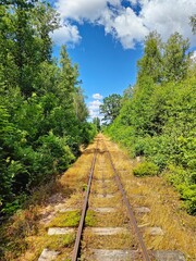 Overgrown narrow gauge railway track in Tuna, Småland, Sweden. Surrounded by dense green summer...