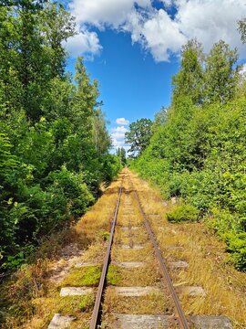 Overgrown narrow gauge railway track in Tuna, Sm&aring;land, Sweden. Surrounded by dense green summer forest and yellow dry grass on the track under a bright blue sky with clouds