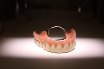 Dental prosthesis in the hands of the doctor close-up.
