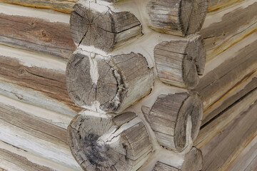 Rustic Log Cabin Corner Detail with Chinking